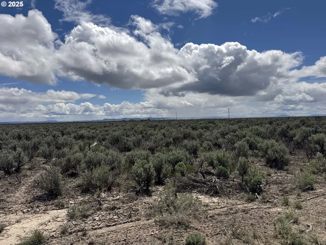 a view of a dry yard