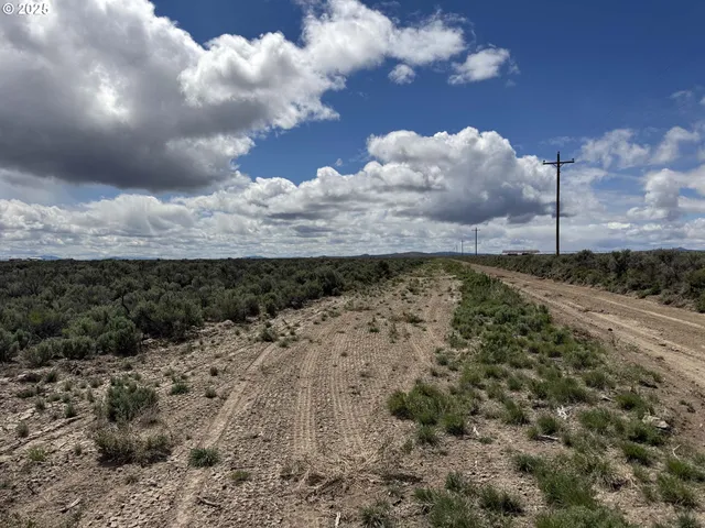 a view of a dry yard