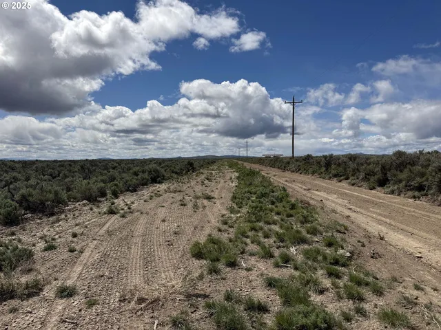a view of a back yard of the house