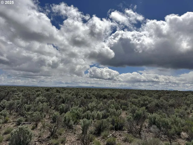 $75,900 | Lost Forest Lane, Unit 5600, Christmas Valley, OR 97641