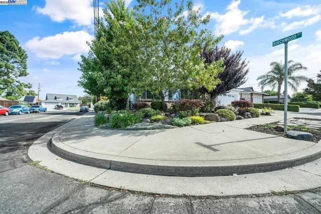 a view of a park with palm trees