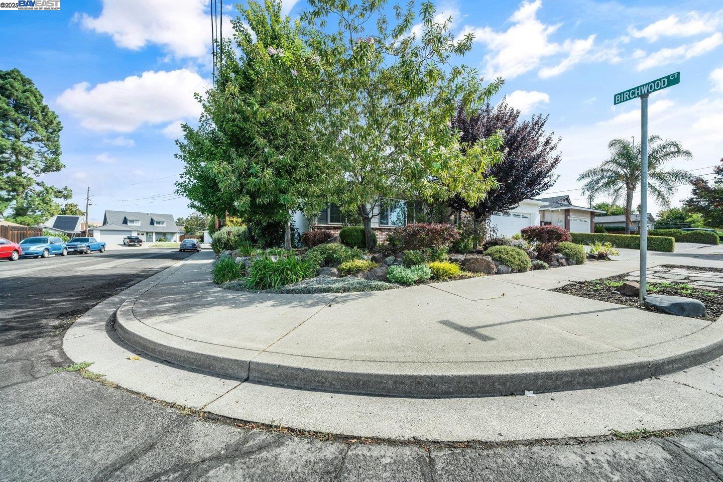 1876 Lynwood Drive Concord, CA 94519 - Photo 5 of 39 a view of a park with palm trees