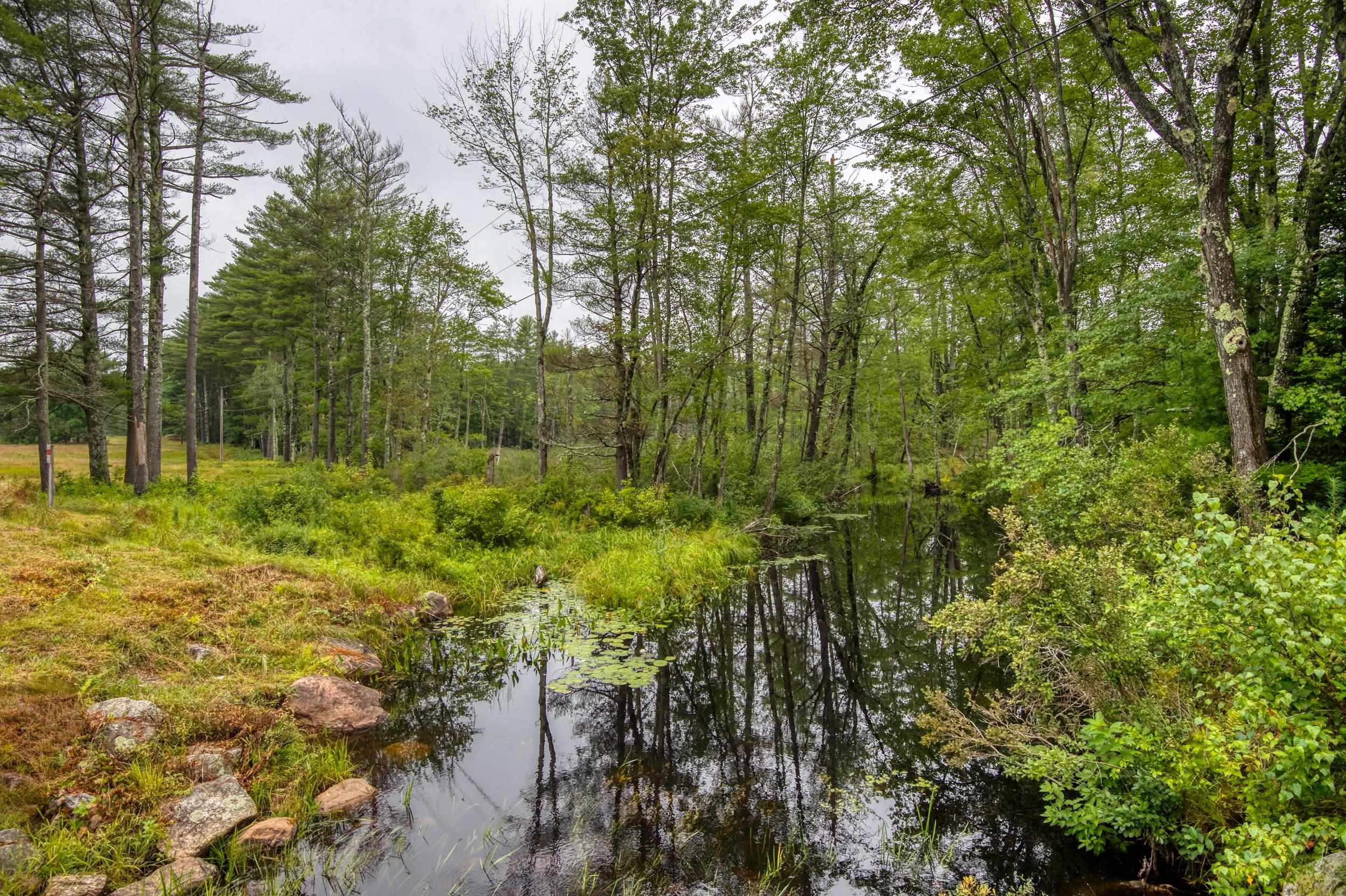 250 Chickville Road Ossipee, NH 03864 - Photo 1 of 19