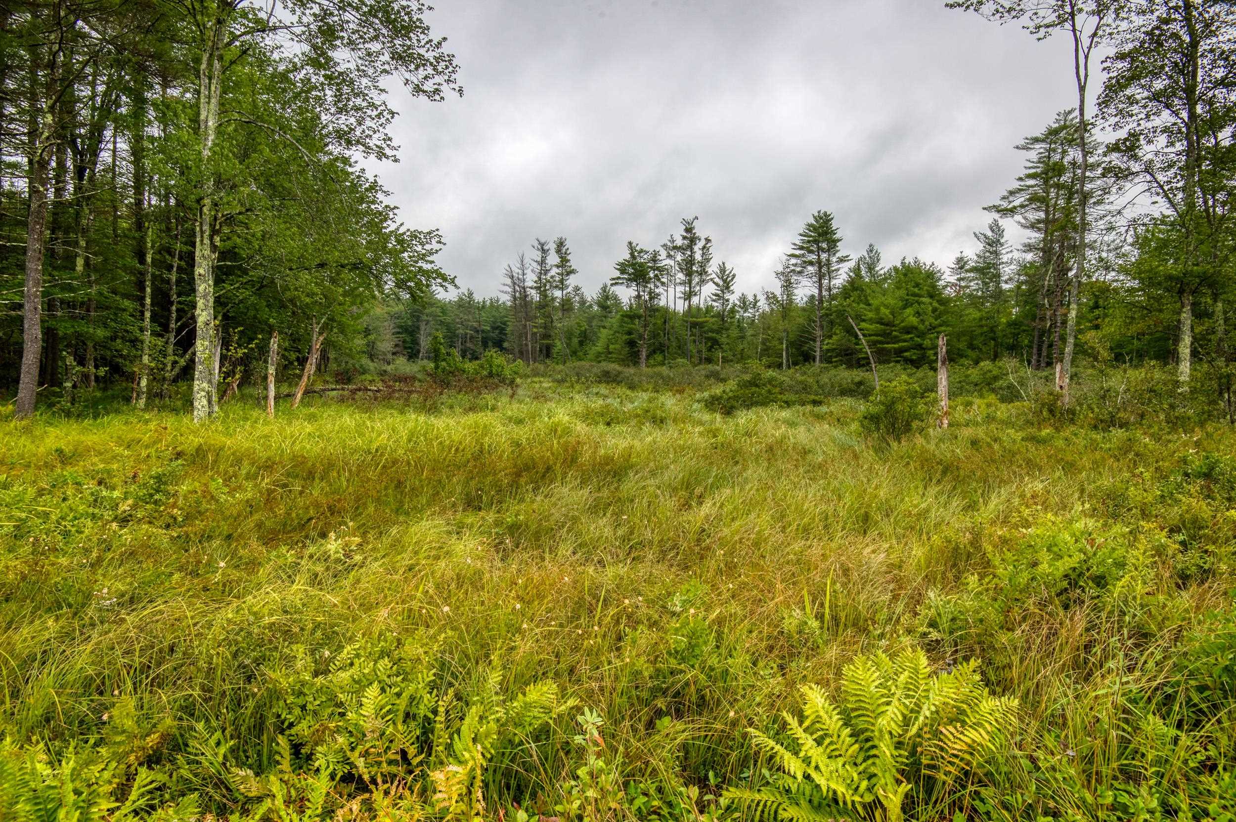 250 Chickville Road Ossipee, NH 03864 - Photo 19 of 19