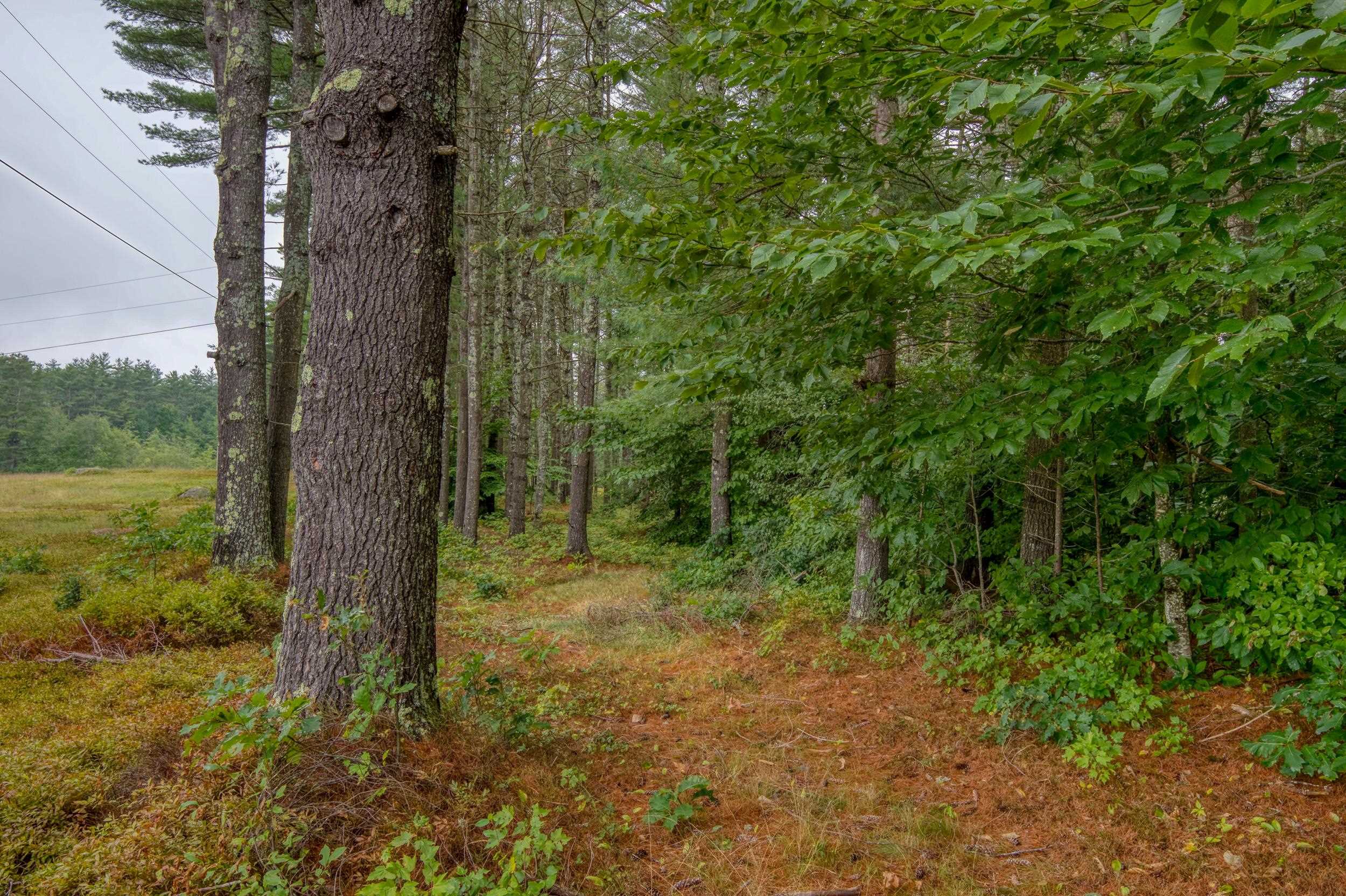 250 Chickville Road Ossipee, NH 03864 - Photo 3 of 19