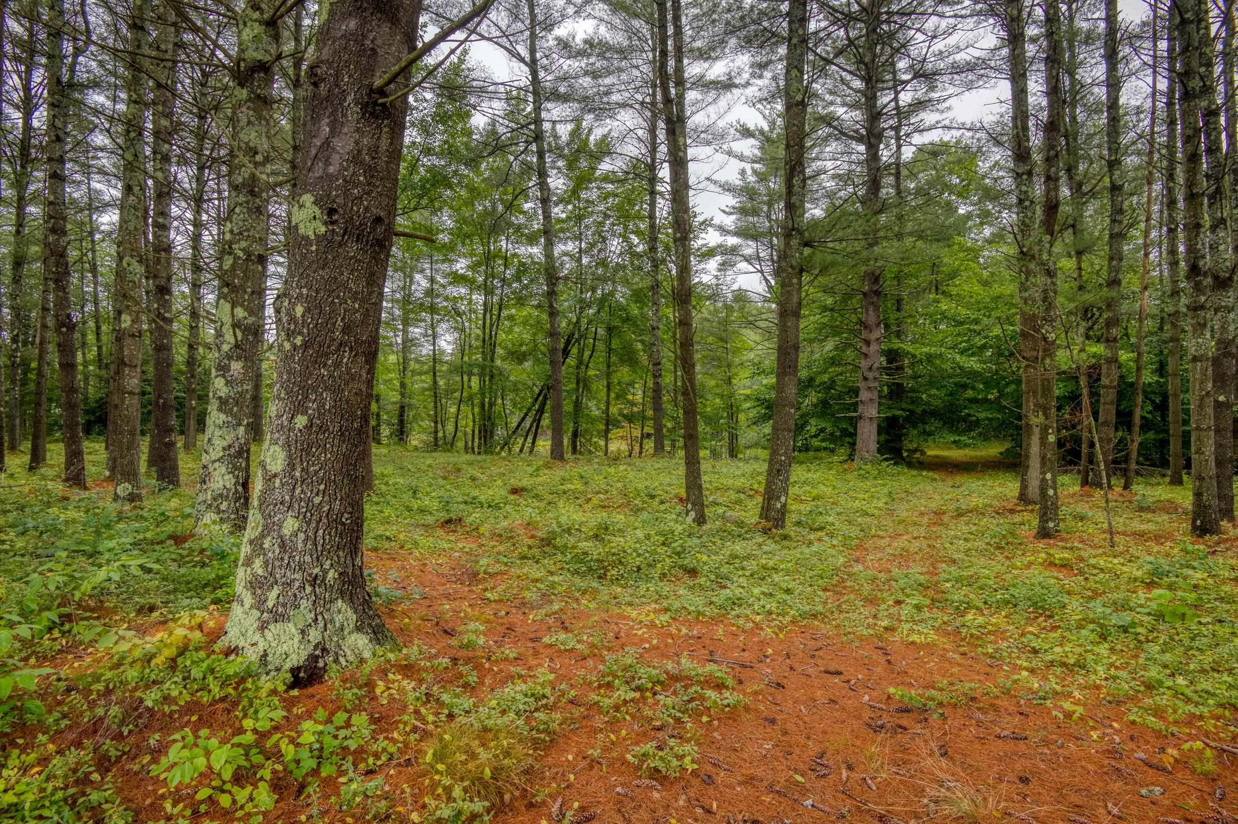 250 Chickville Road Ossipee, NH 03864 - Photo 4 of 19