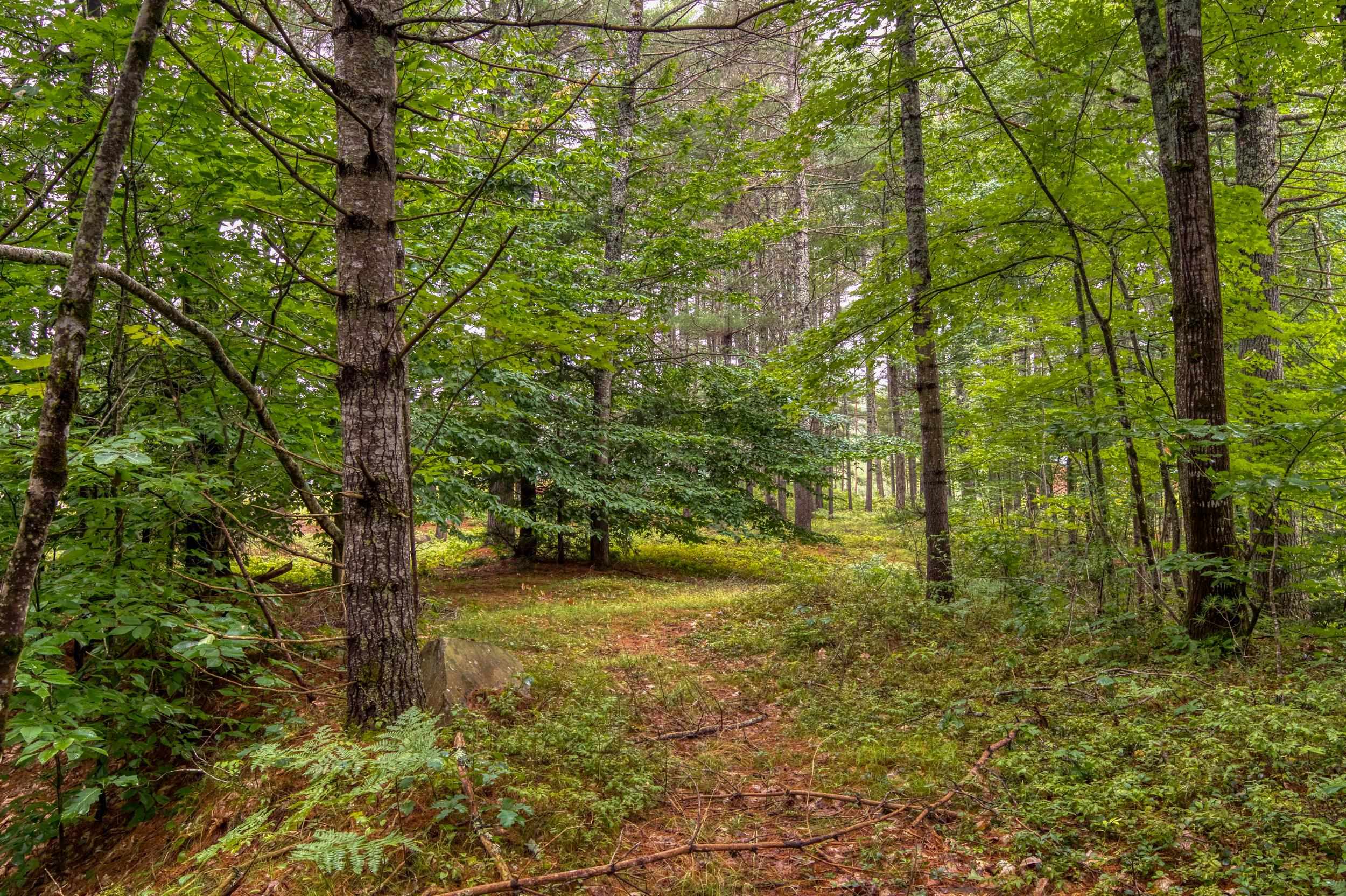 250 Chickville Road Ossipee, NH 03864 - Photo 5 of 19