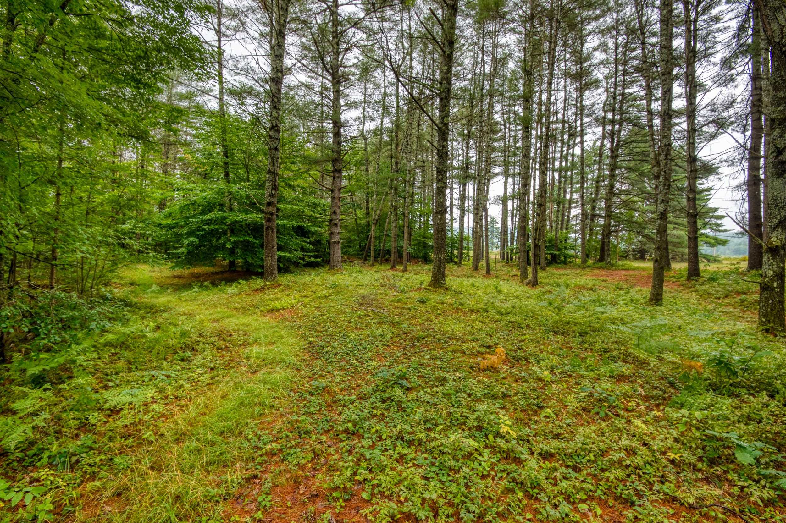 250 Chickville Road Ossipee, NH 03864 - Photo 6 of 19