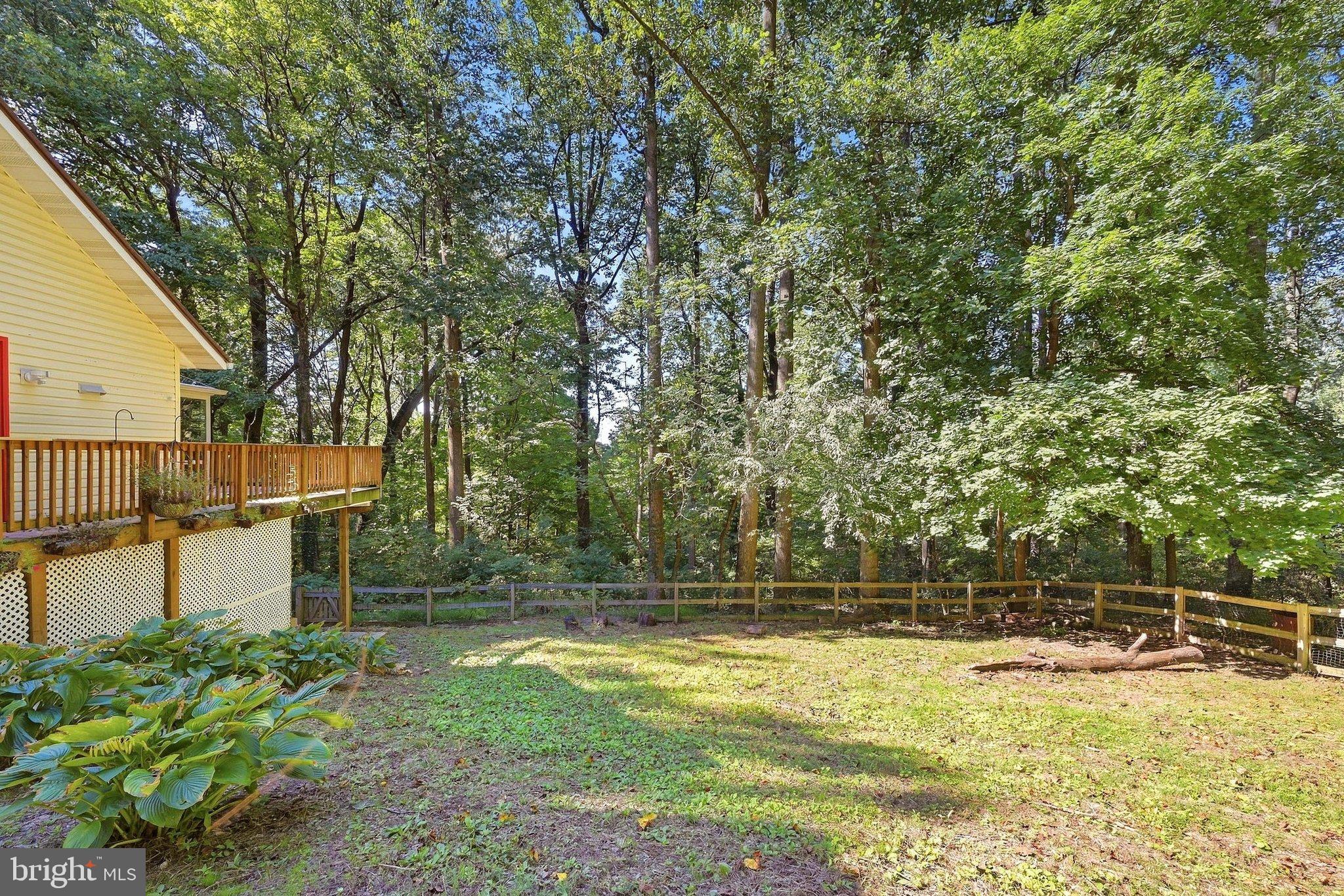 20752 Gapland Road Rohrersville, MD 21779 - Photo 44 of 56 Sideyard