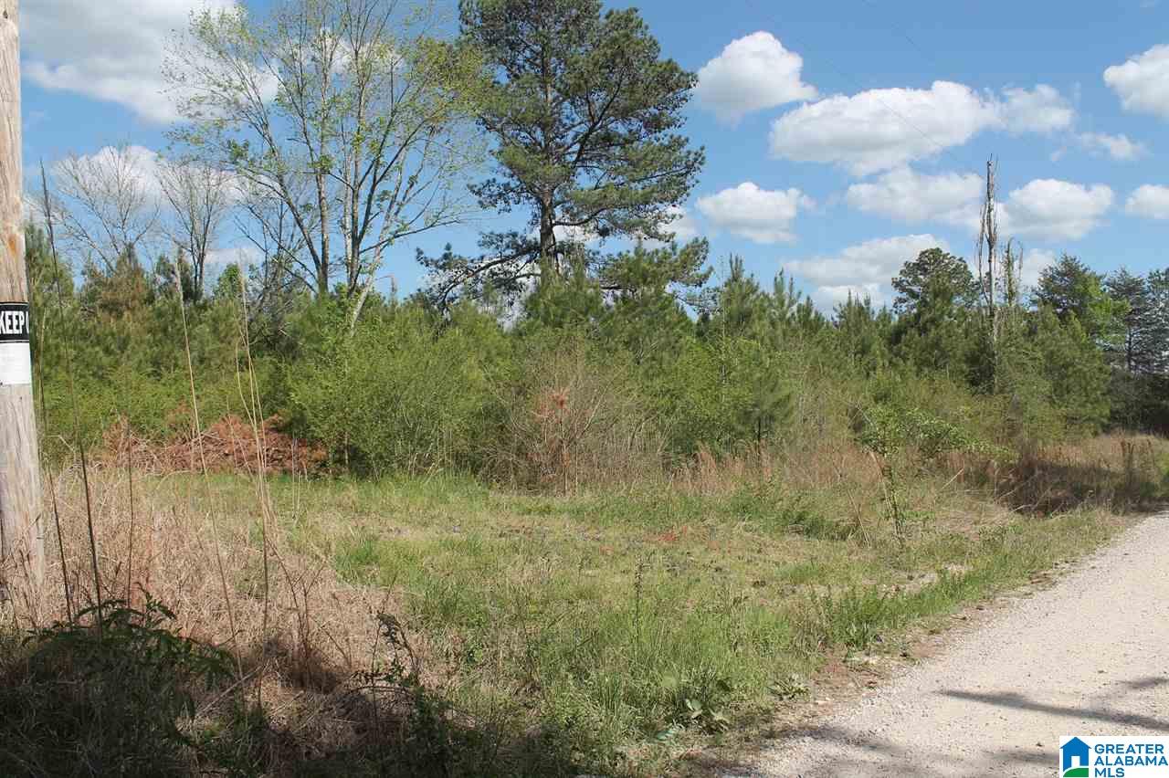 0 Highway 41 Addison Al, Unit 2 AC Addison, AL 35540 - Photo 4 of 5