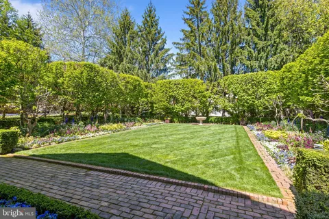 a view of a yard