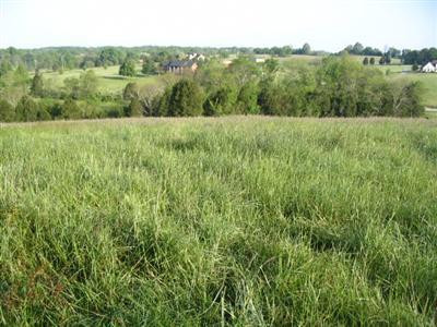 1635 Bonds Mill Road Lawrenceburg, KY 40342 - Photo 9 of 9 Photo 9