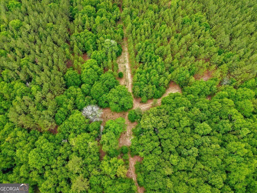 0 River Road Waynesboro, GA 30830 - Photo 30 of 37