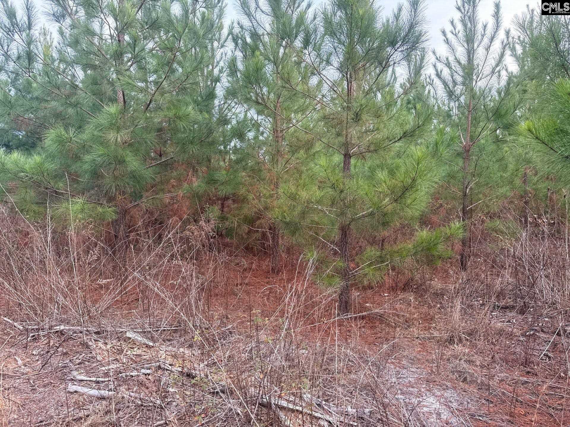 9 Quattlebaum Road, Unit QBF 9 Leesville, SC 29070 - Photo 2 of 12