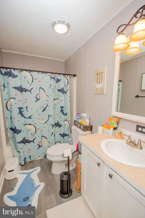 a bathroom with a sink mirror vanity and toilet