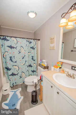 a bathroom with a sink mirror vanity and toilet