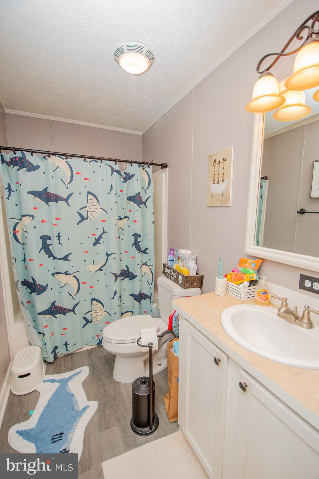 5284 White Deer Road Delmar, DE 19940 - Photo 12 of 14 a bathroom with a sink mirror vanity and toilet