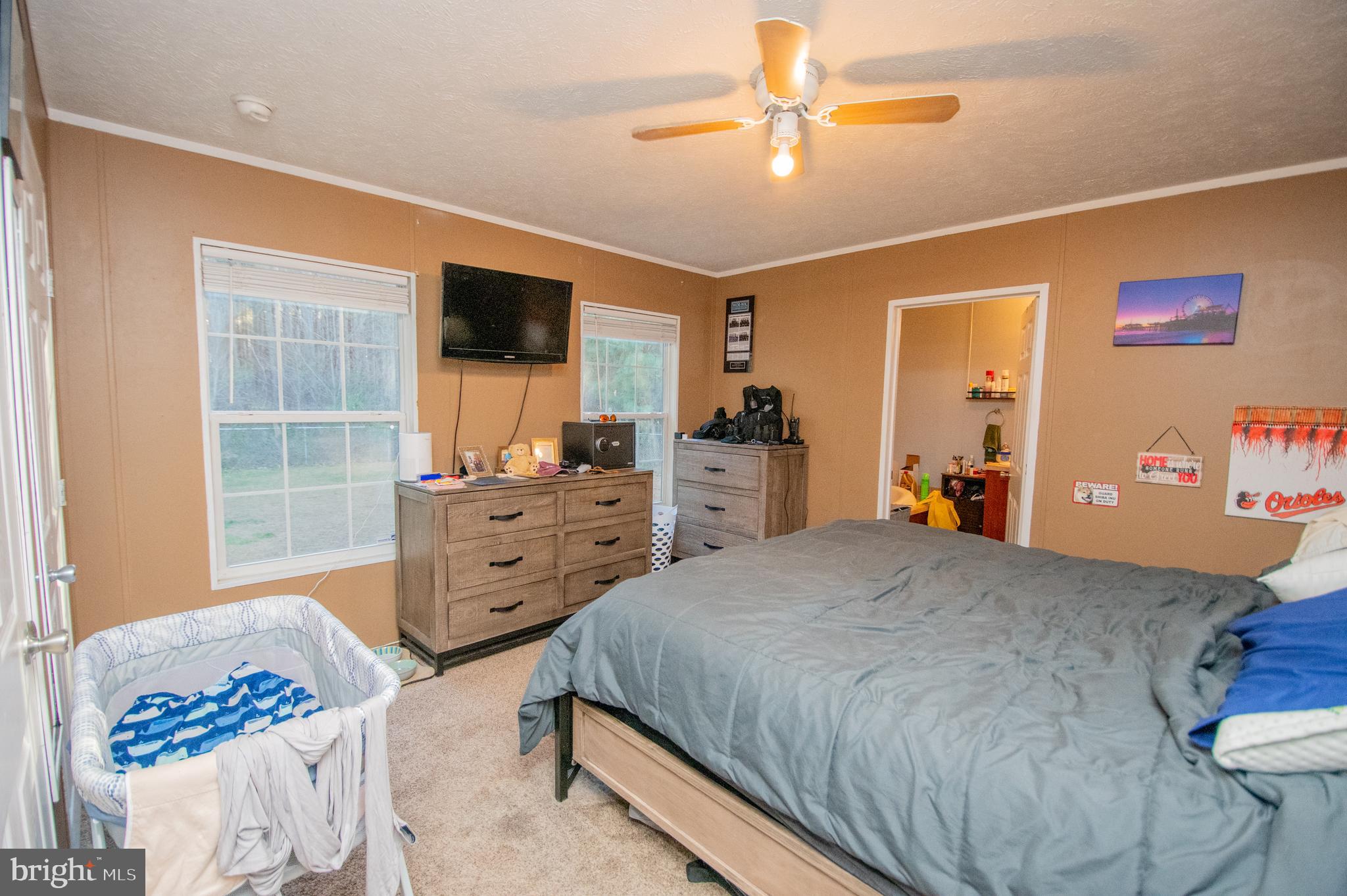 5284 White Deer Road Delmar, DE 19940 - Photo 6 of 14 a bedroom with furniture and a flat screen tv
