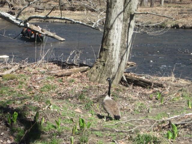 215 North Creek Road Slippery Rock, PA 16057 - Photo 22 of 22 Gallery Image 22