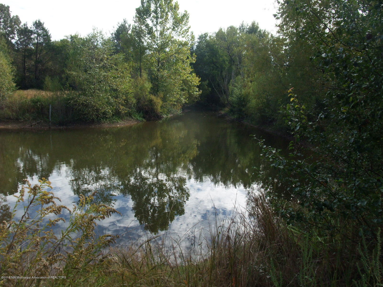 945 Cayce Road Byhalia, MS 38611 - Photo 7 of 9 945D