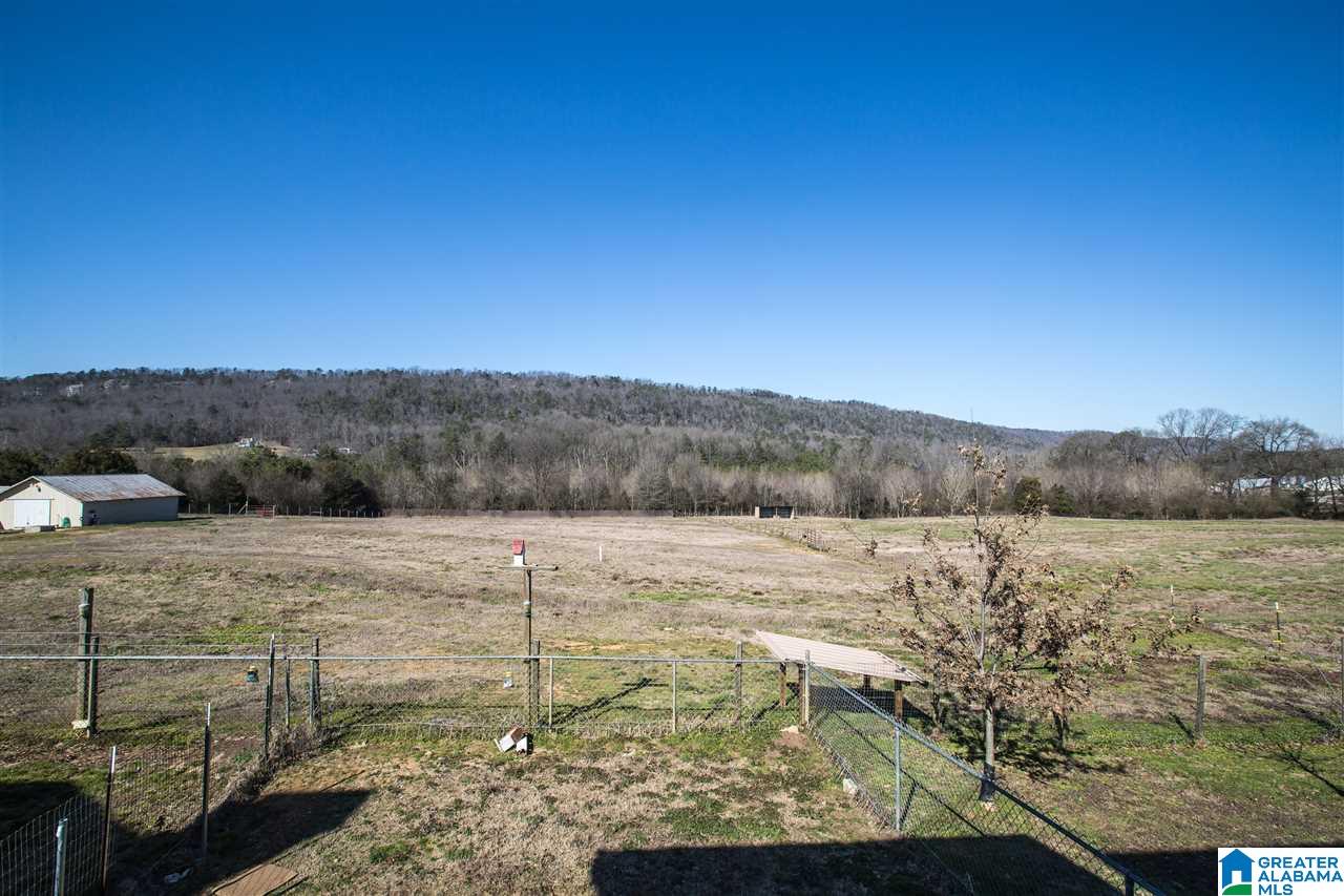 435 County Road 42 Oneonta, AL 35121 - Photo 11 of 40