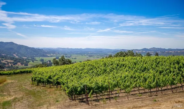 $2,195,000 | 577 Artisan Circle, Geyserville, CA 95441