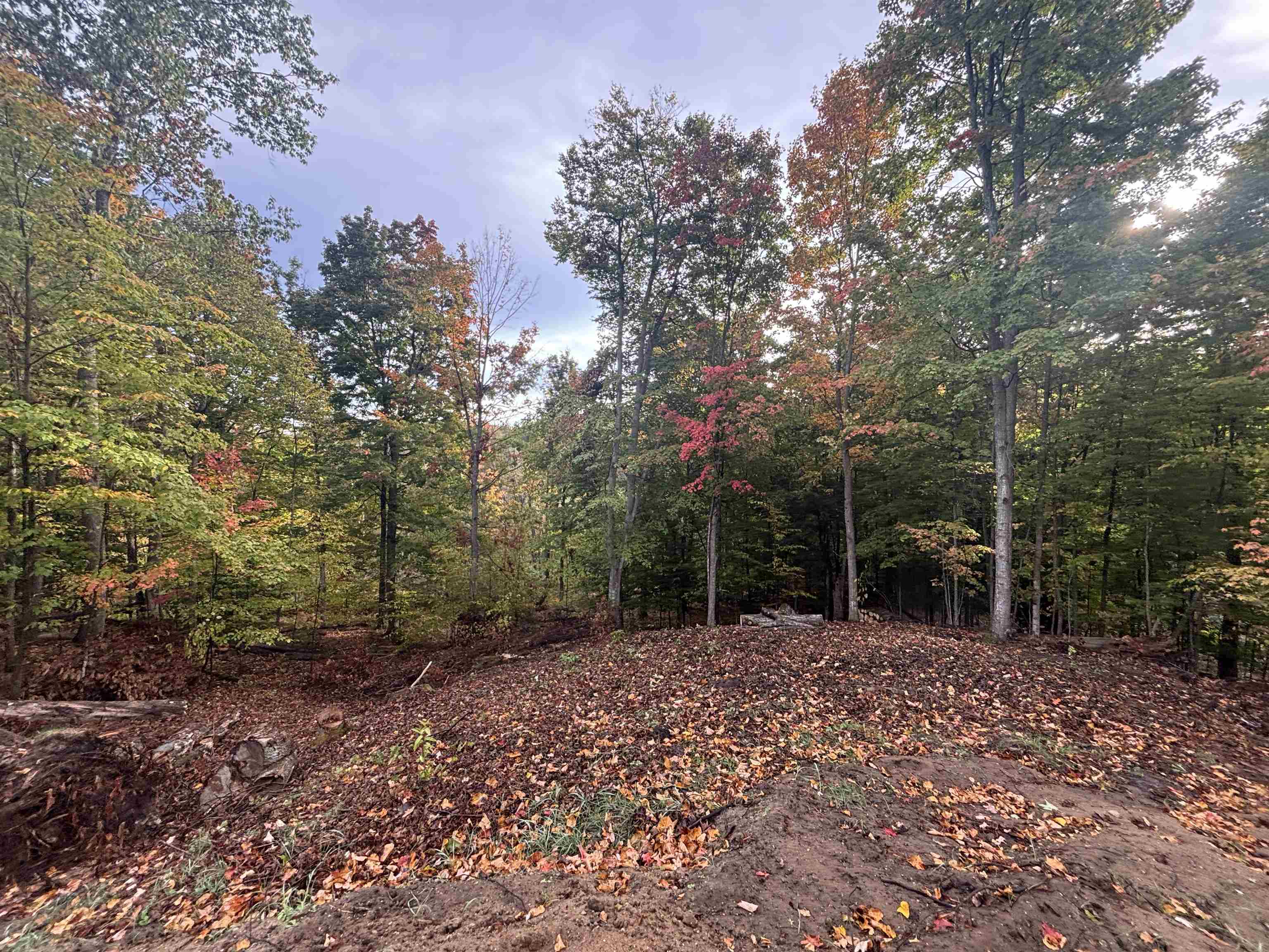 4972 Truax Lake Road Williamsburg, MI 49690 - Photo 27 of 27