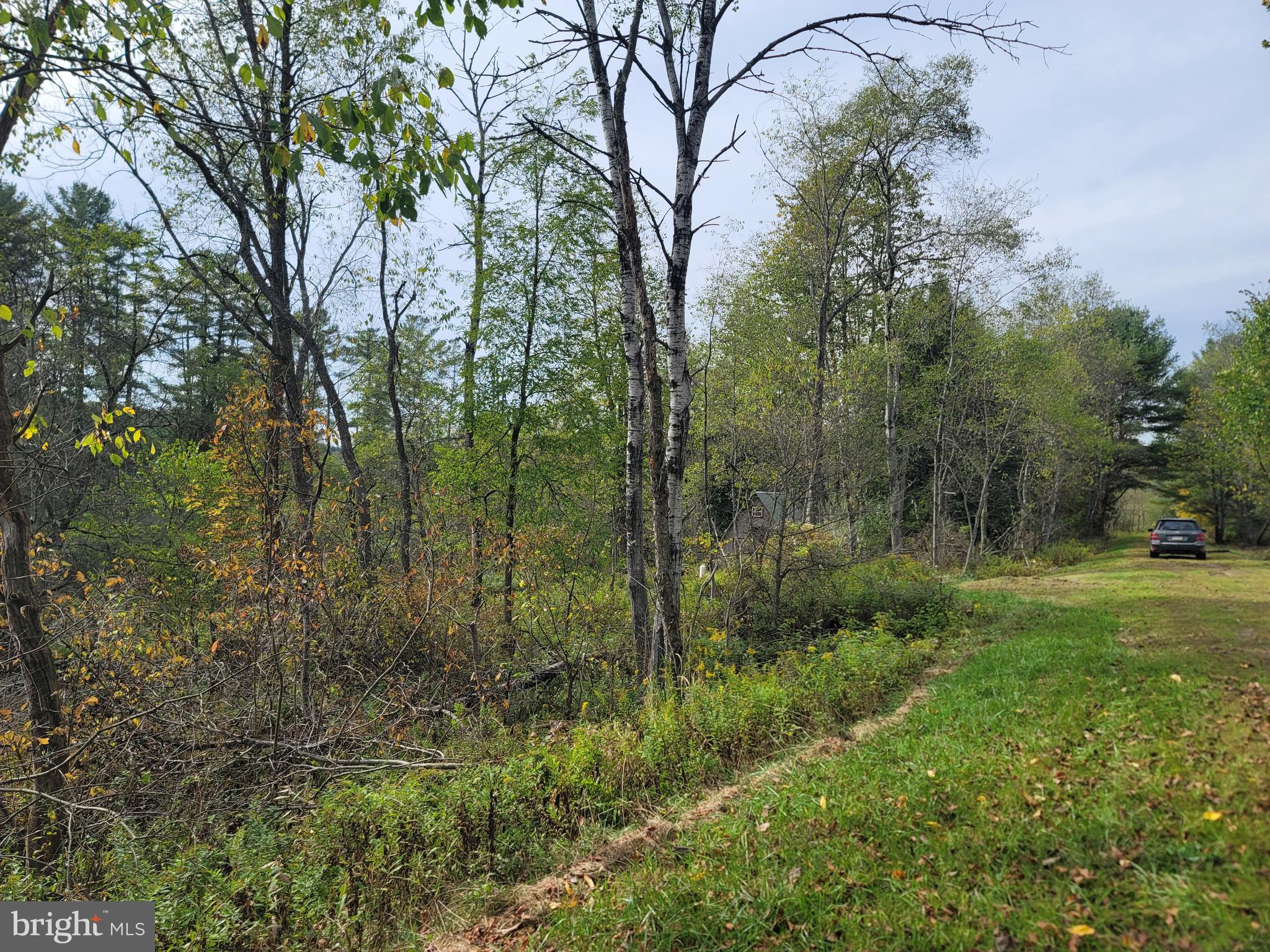 342 Forest Mine Road Smokerun, PA 16681 - Photo 22 of 25 Land