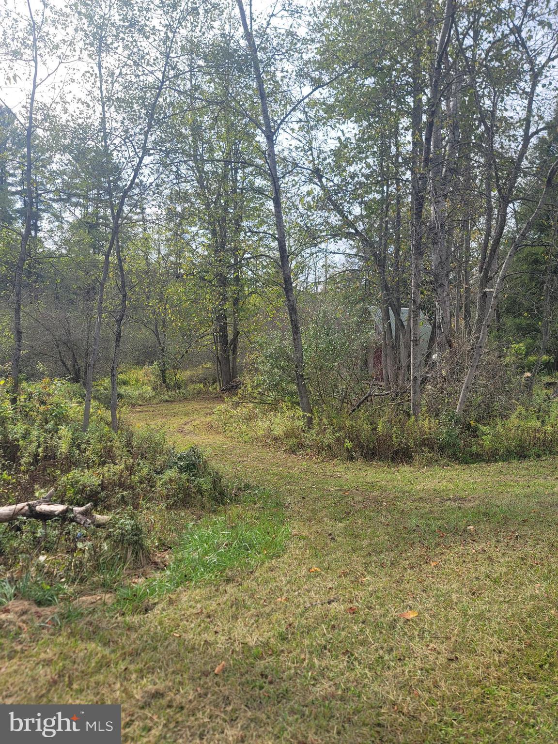 342 Forest Mine Road Smokerun, PA 16681 - Photo 23 of 25 Land