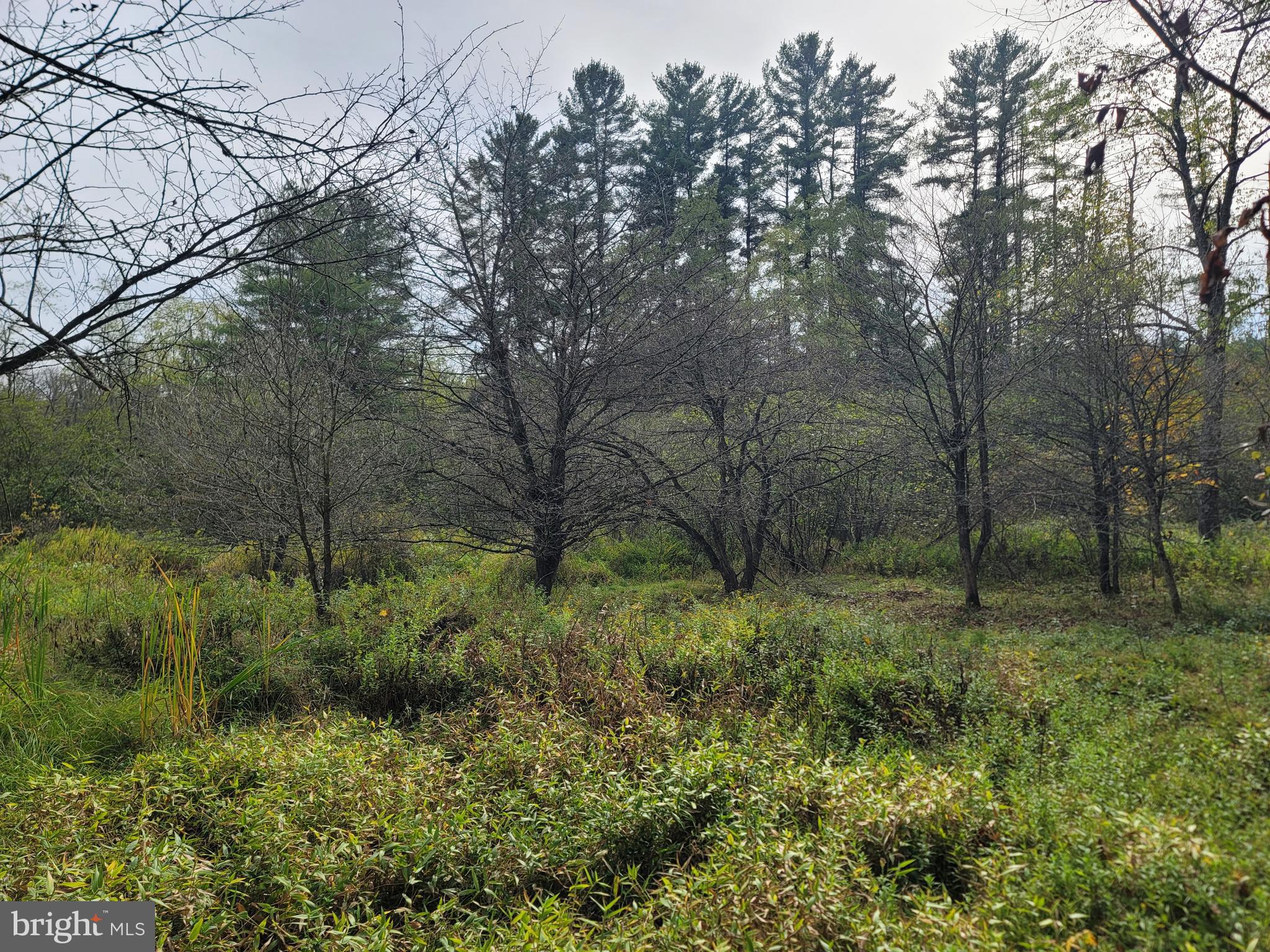 342 Forest Mine Road Smokerun, PA 16681 - Photo 24 of 25 Land