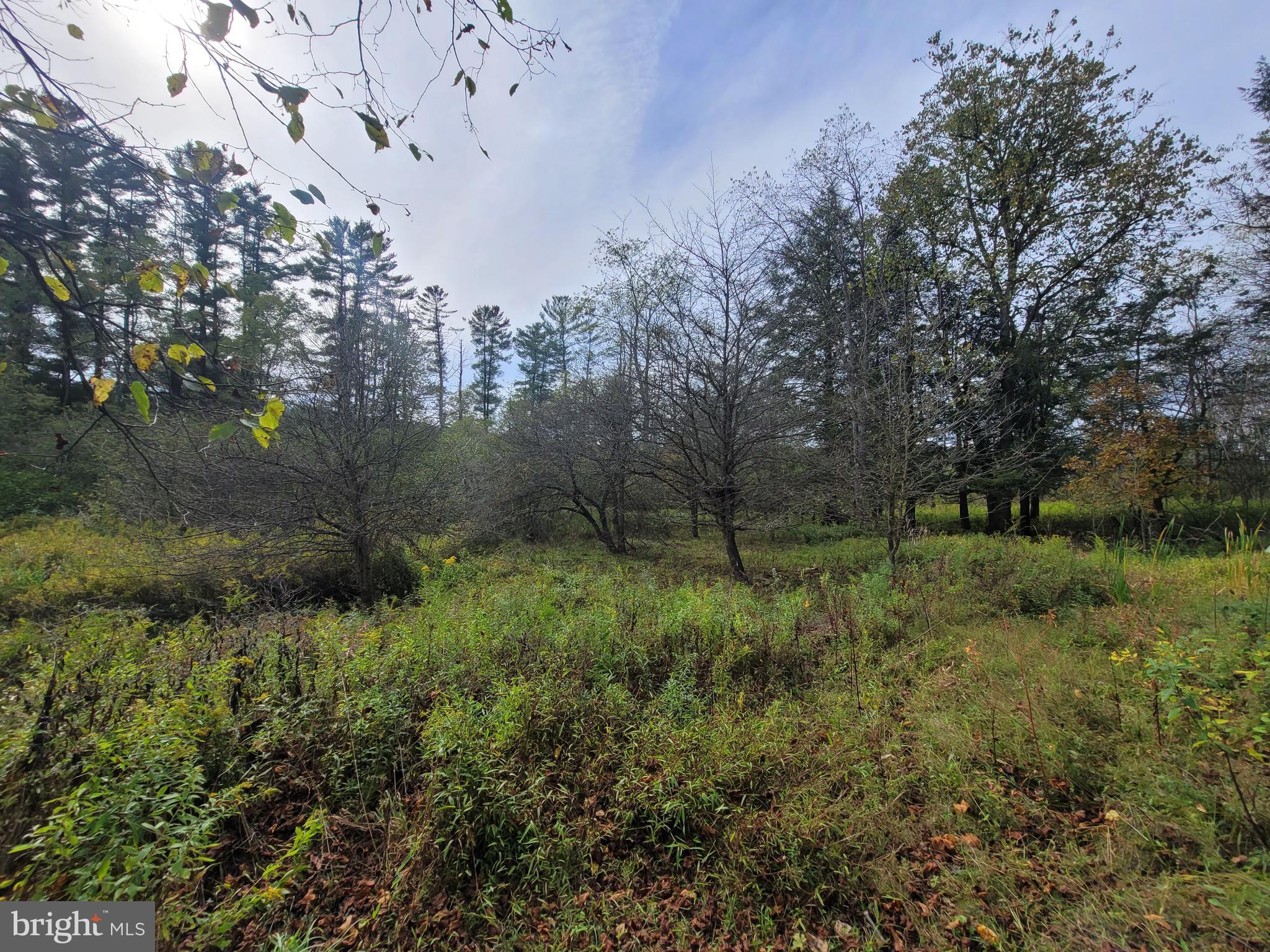 342 Forest Mine Road Smokerun, PA 16681 - Photo 25 of 25 Land