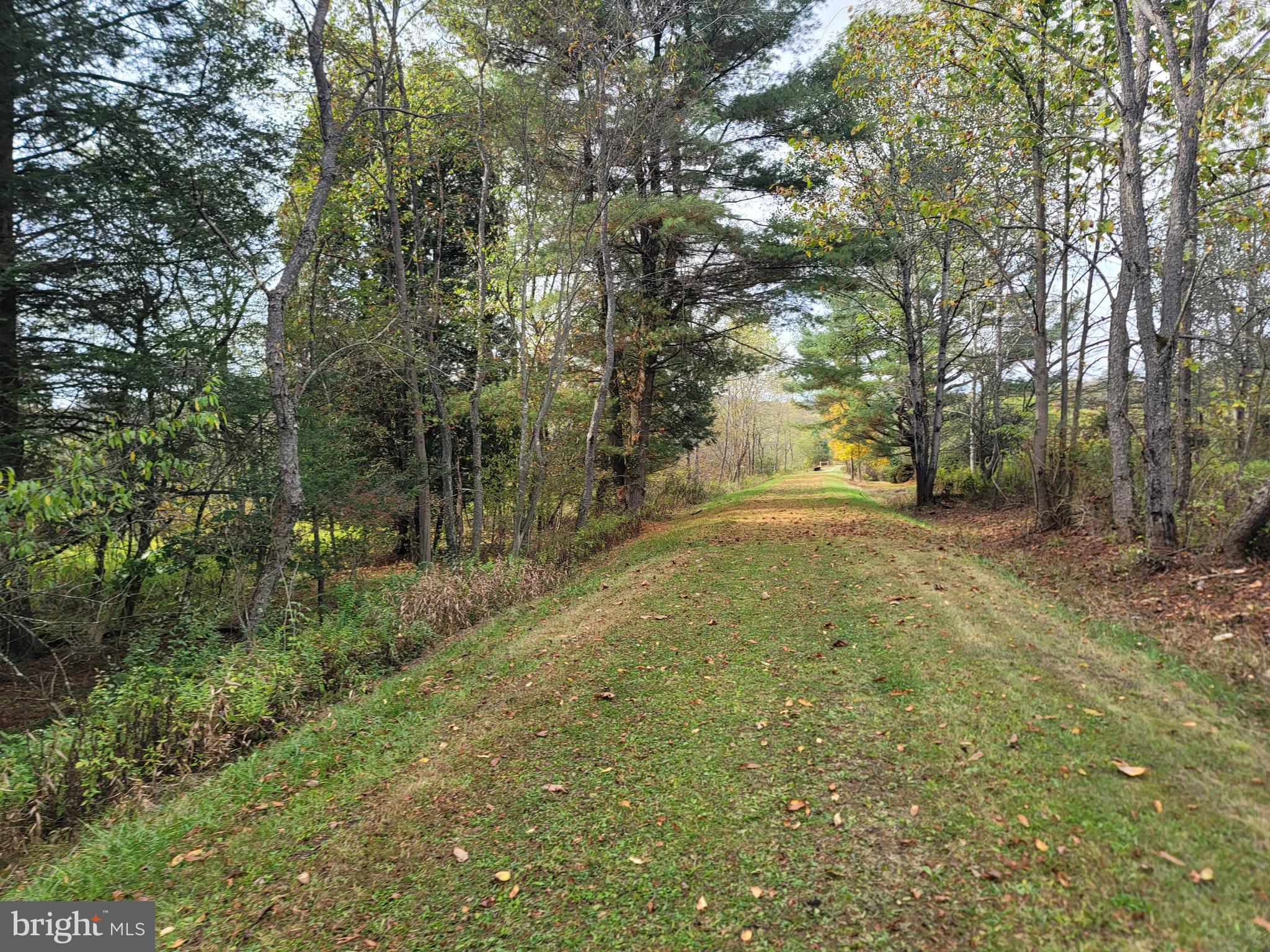 342 Forest Mine Road Smokerun, PA 16681 - Photo 4 of 25 Rails to Trails