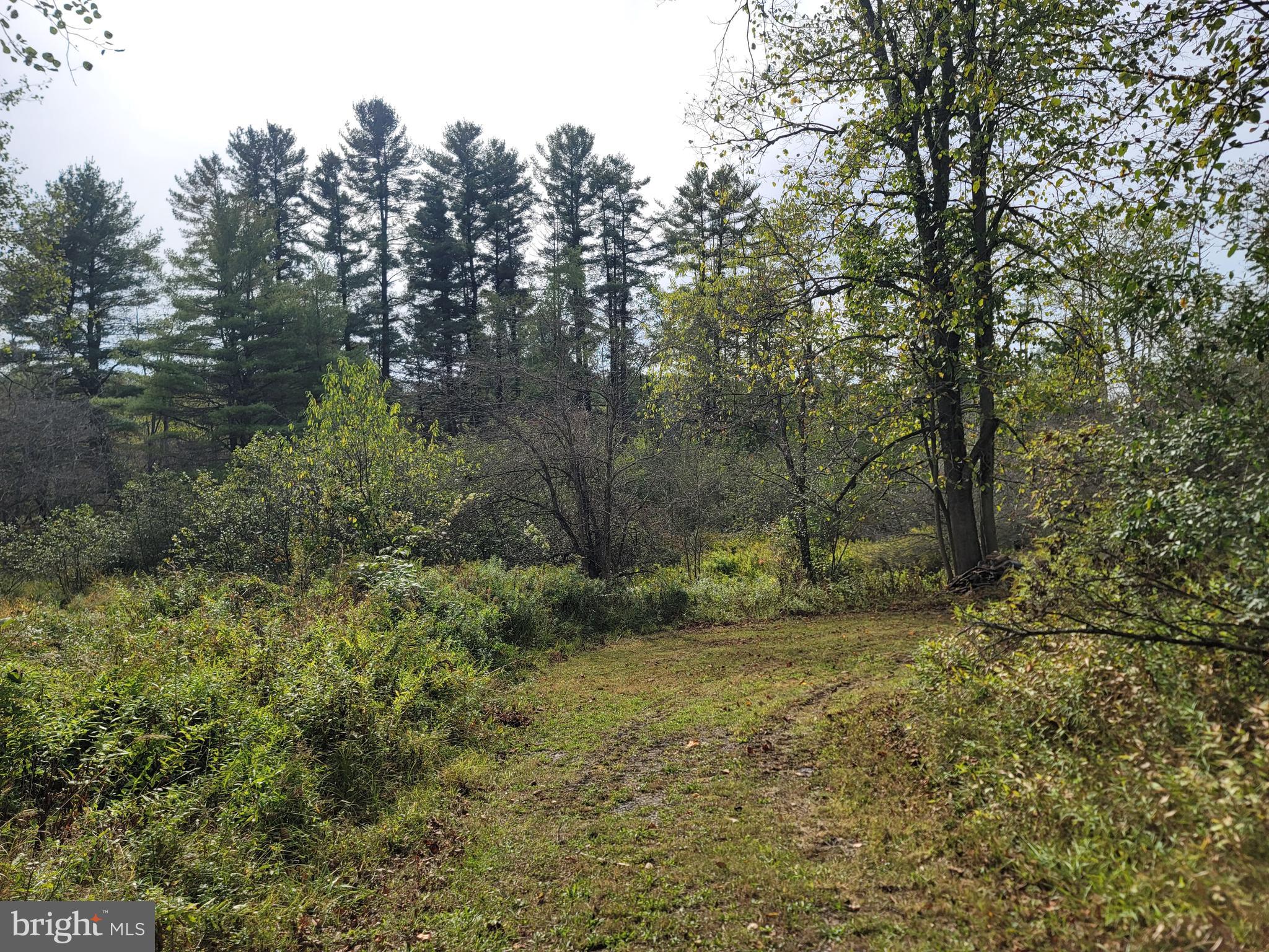 342 Forest Mine Road Smokerun, PA 16681 - Photo 5 of 25 Driveway to Camp