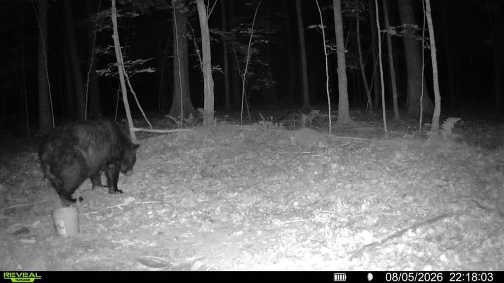 2 Comet Exeland, WI 54835 - Photo 6 of 26 Gallery Image 6