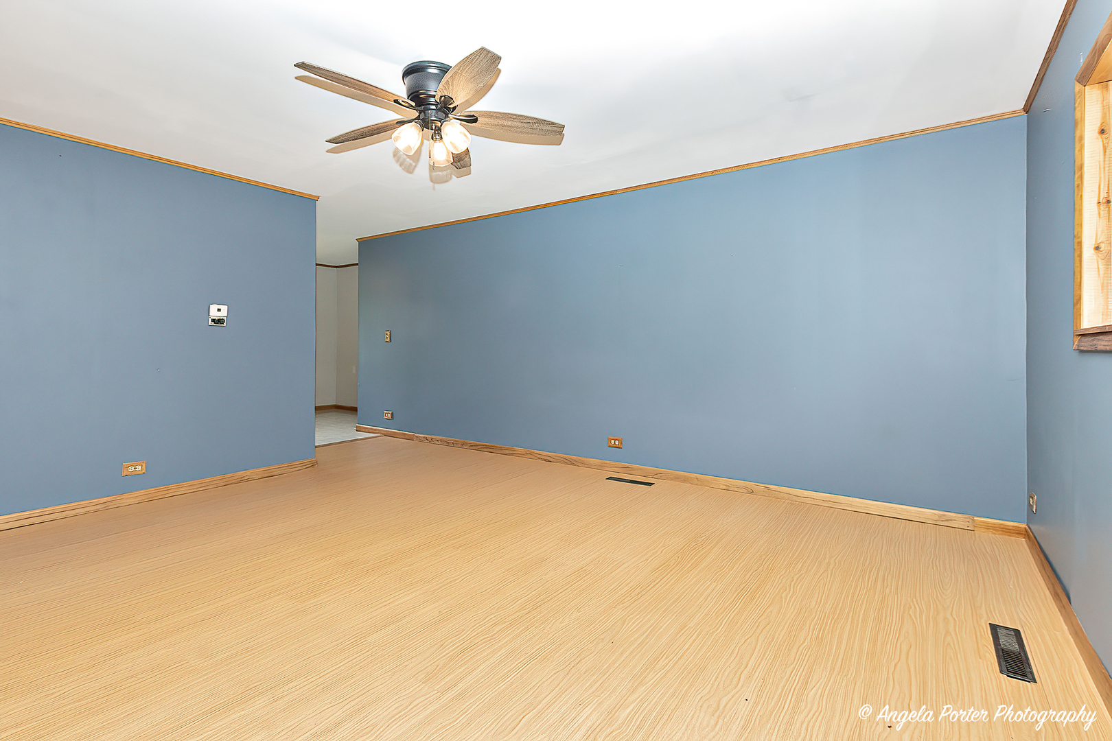 4 Timber Trail Streamwood, IL 60107 - Photo 3 of 27 Gallery Image 3