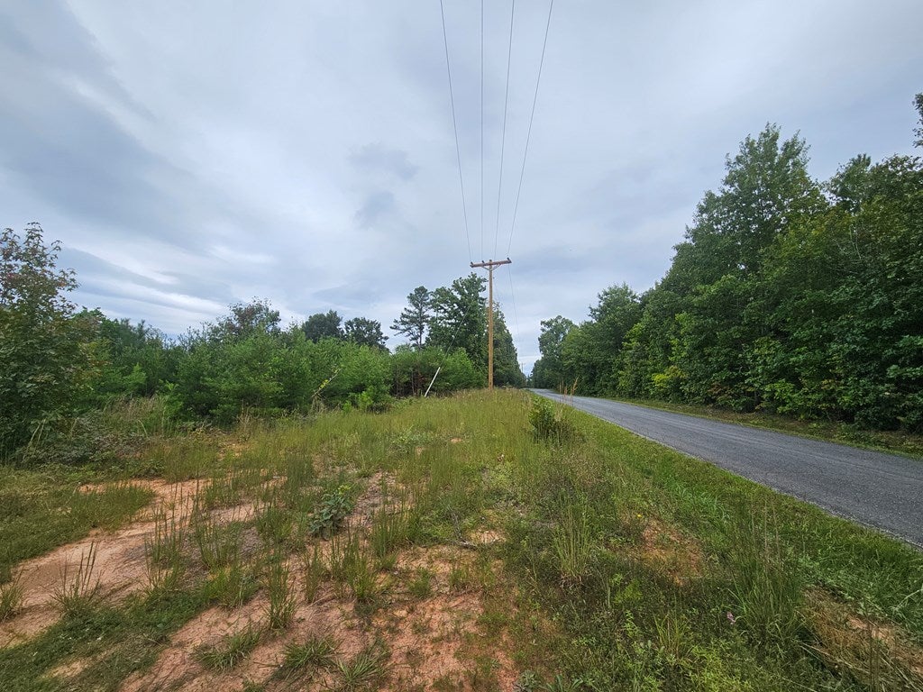 Schultz Mill Road Meherrin, VA 23954 - Photo 15 of 16 Gallery Image 15