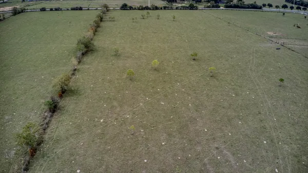 $4,000,000 | 17209 Fm 362 Road, Waller, TX 77484