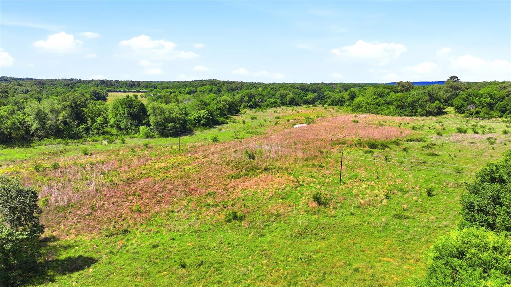 4091 County Road 2206 Rusk, TX 75785 - Photo 9 of 12 a view of lake with green space