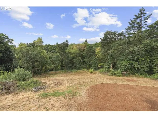 a view of a yard with a tree