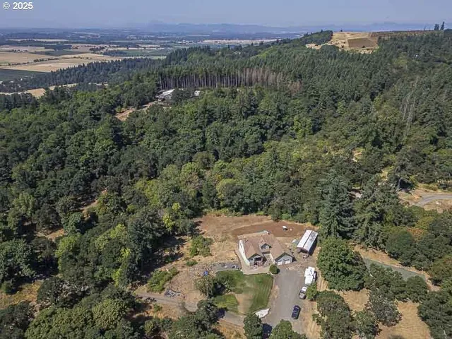 an aerial view of a house with a yard