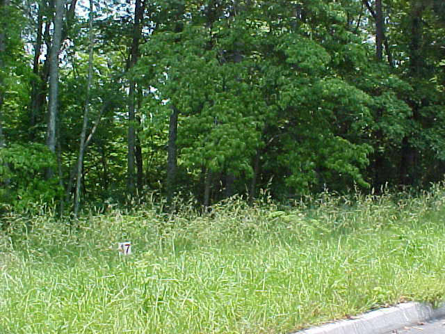 Lot 47 Cherokee Drive Rutledge, TN 37861 - Photo 2 of 3 Lot 47
