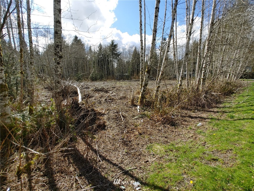 9999 Merchants Road Forks, WA 98331 - Photo 3 of 12 Gallery Image 3