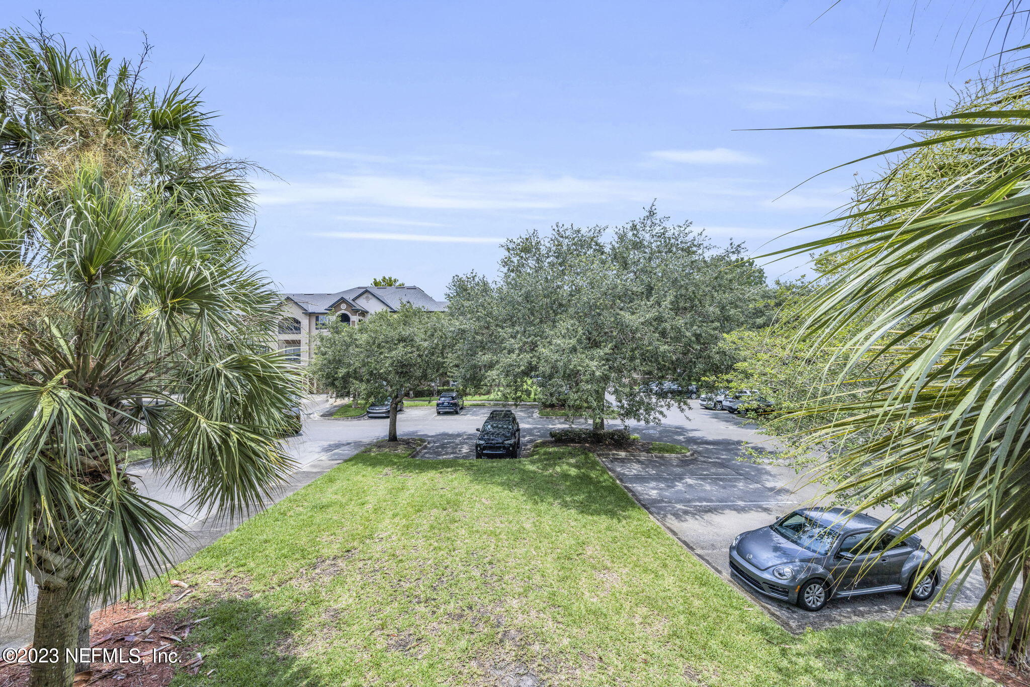 10961 Burnt Mill Road, Unit 427 Jacksonville, FL 32256 - Photo 27 of 50 a view of a backyard with plants and palm tree