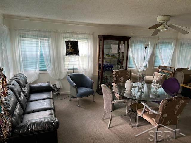 5795 E Road Saginaw, MI 48601 - Photo 8 of 19 Gallery Image 8