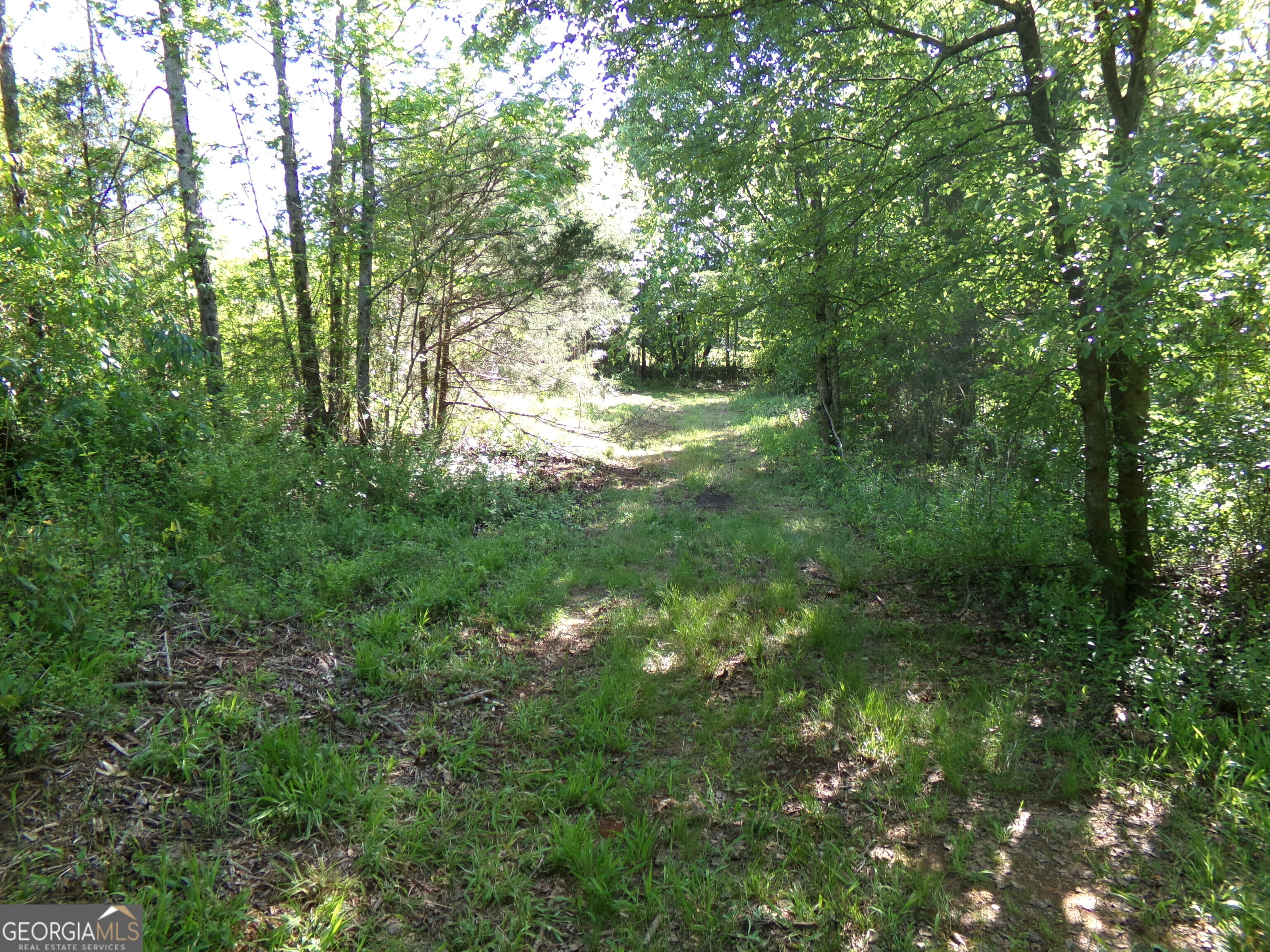 3905 Highway 138 Covington, GA 30014 - Photo 12 of 40
