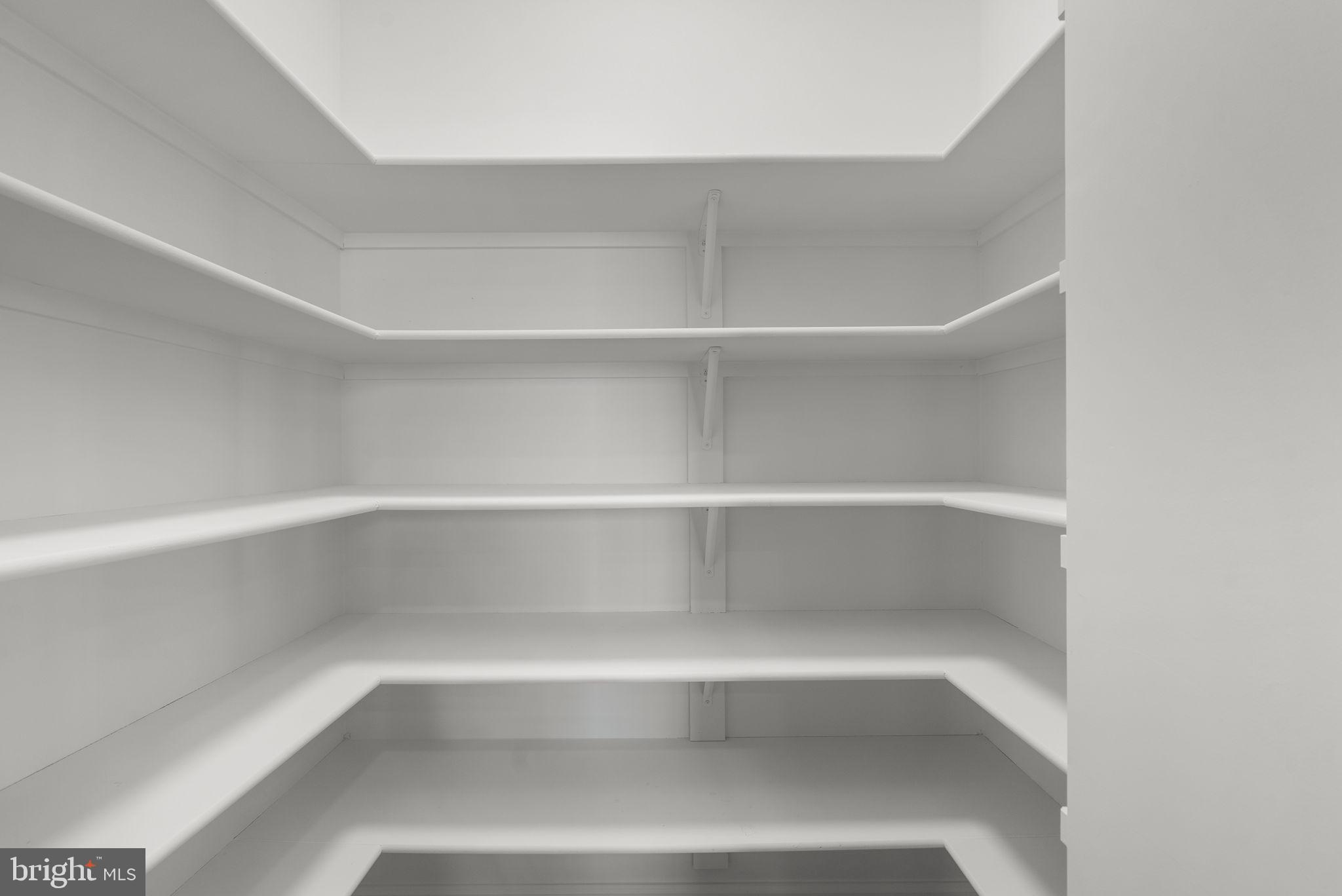 14421 Ashleigh Greene Road Boyds, MD 20841 - Photo 21 of 95 a view of an empty walk in closet