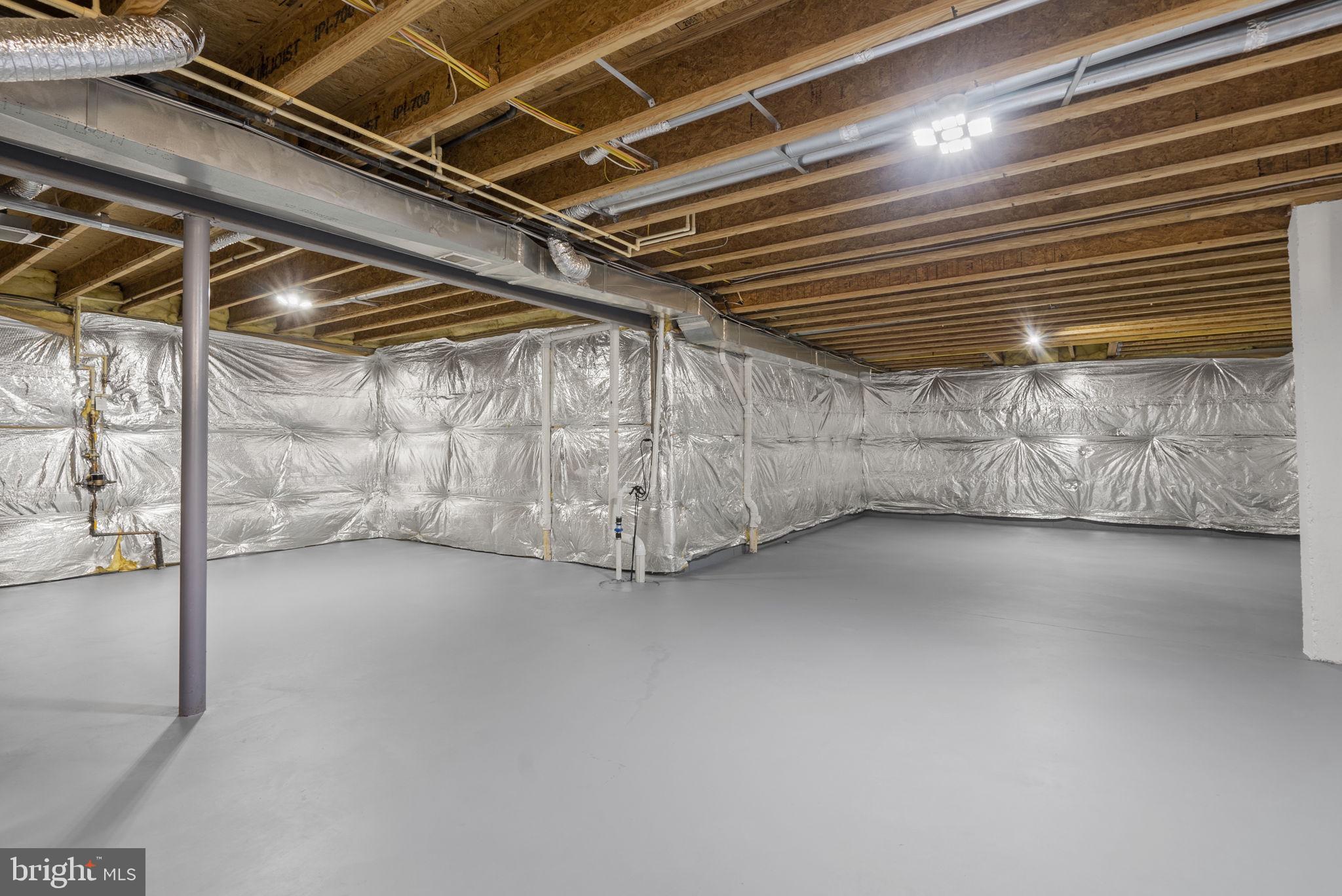 14421 Ashleigh Greene Road Boyds, MD 20841 - Photo 63 of 95 Walk-Up Lower Level with 9 Foot Ceilings