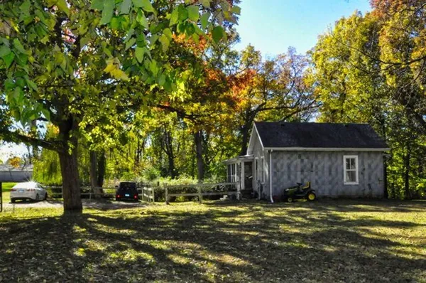 a view of plants and trees in a yard