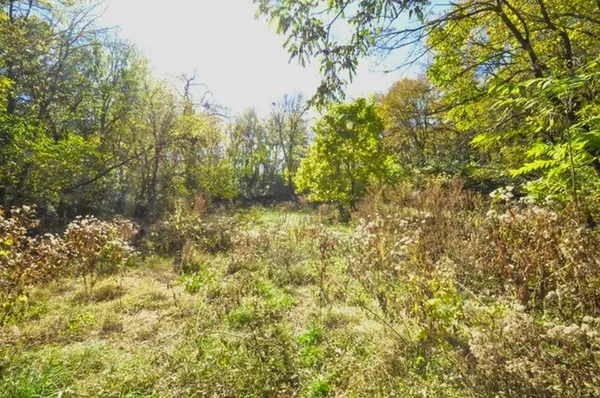 a view of a garden
