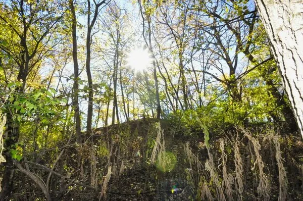 $175,000 | 710 Short Street, Streator, IL 61364